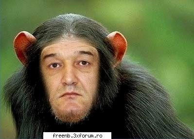 plugin anti straini - Dak se poate va rog eu mult puneti pluginul ala - Sugestii Sv