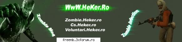 r4gf - v1p - Tutoriale FreeNB